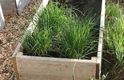 De lente is er!