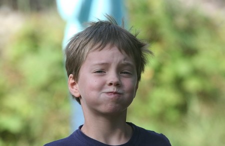 Goudvis