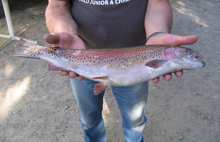 Play it safe