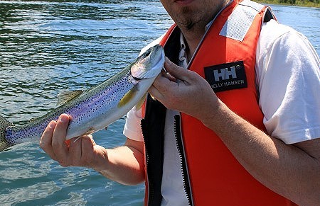 Up the river
