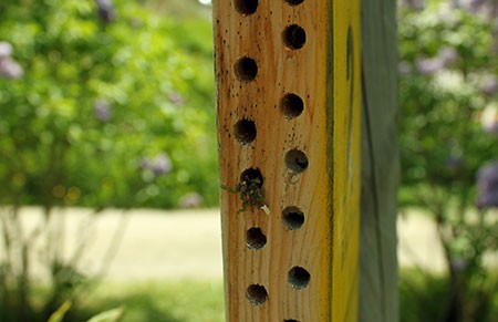 Bijtjes zijn weg - Huis verkocht