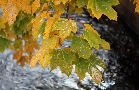 Herfst: Sneeuw