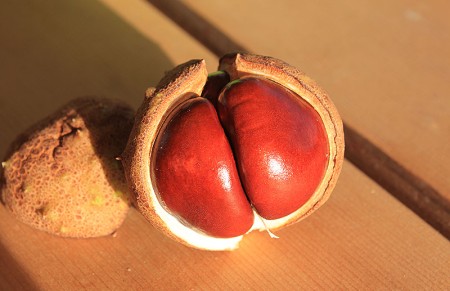 Herfst: Een grasmaaier zonder olie!