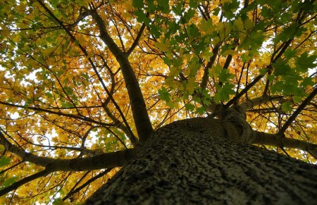 Herfst is begonnen