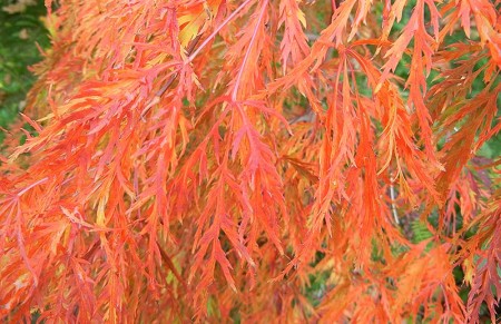 Herfst is begonnen