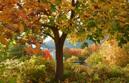 Herfst is begonnen