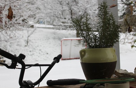 De eerste sneeuw op de grond