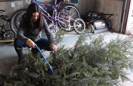 Kerstboom