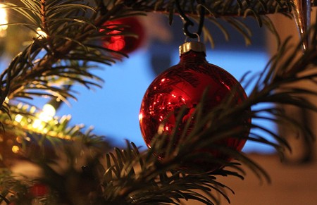 Kerstboom