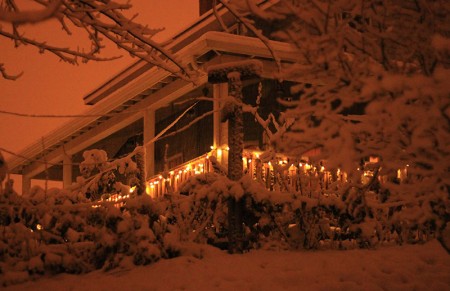 De Winter