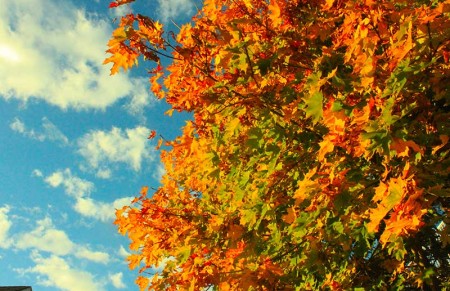 Herfst