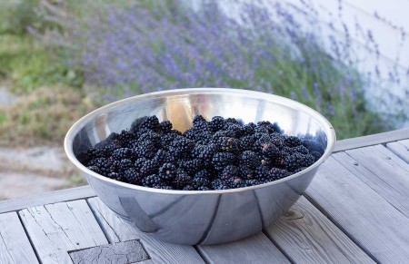 Als het niet de mus was….