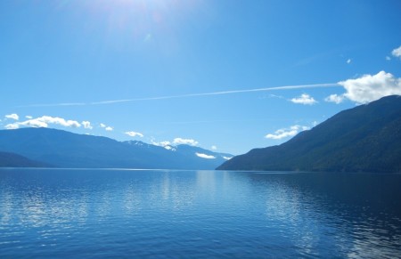 Verknocht aan Nelson