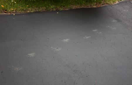 Had jij de deur dicht gedaan?