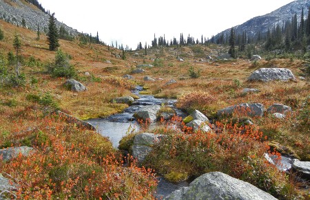 Wow, you are lucky with such good friends!