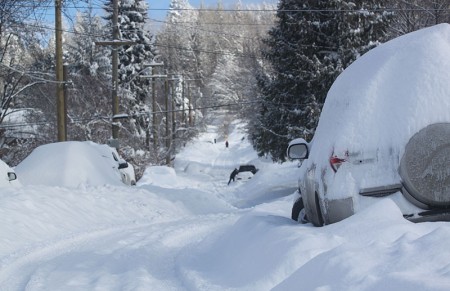 Snowday