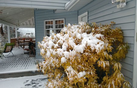 Sneeuw!