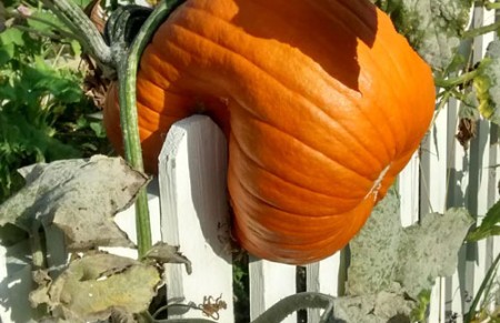 Herfst, of winter?!?