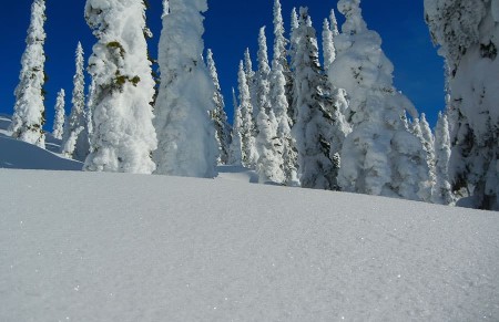Just 19