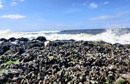 Een lekkere warme douche?