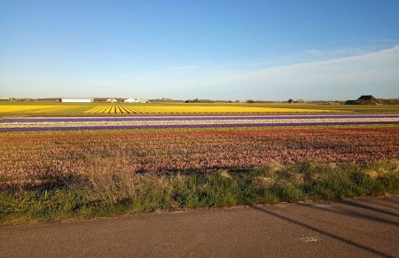 Een lekkere warme douche?