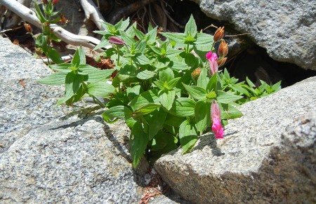 Blauw..blauwe lucht!