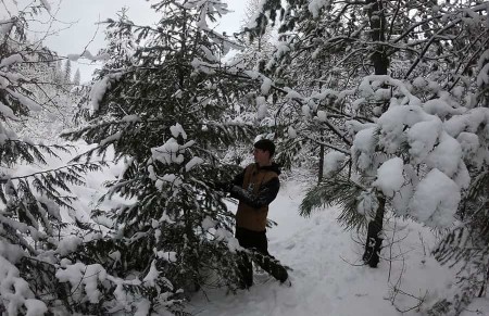 Kerstboom blues