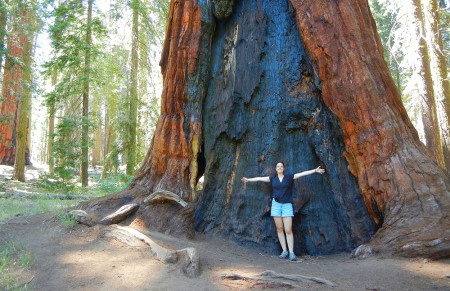 Wie wil er mee naar Cali