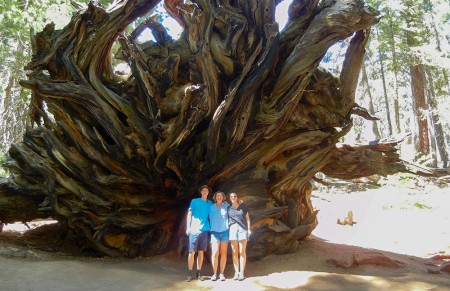 Wie wil er mee naar Cali