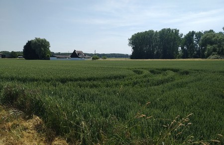 Tilburg to Worringen