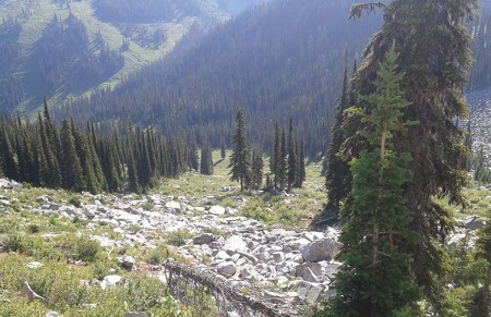 Summit trail