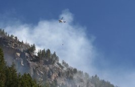 Brand