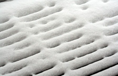 Kerstmis en Michelle 8!