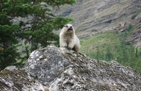 Terug in Nelson