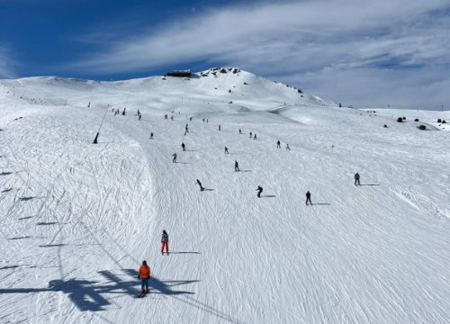 Zeven dagen later wist ik het zeker