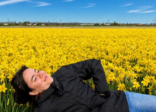 narcis